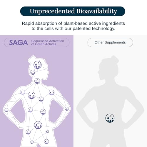 SAGA Organic Lavender Sleep Shots - 2oz, 6-Pack